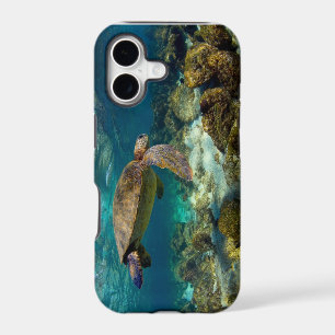 Green sea turtle underwater Galapagos Islands
