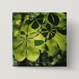 Green Seven Point Leaves with Sun Illumination 15 Cm Square Badge