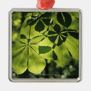 Green Seven Point Leaves with Sun Illumination Metal Tree Decoration