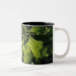 Green Seven Point Leaves with Sun Illumination Two-Tone Coffee Mug