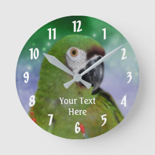 Green Severe Macaw Parrot Animal Round Clock