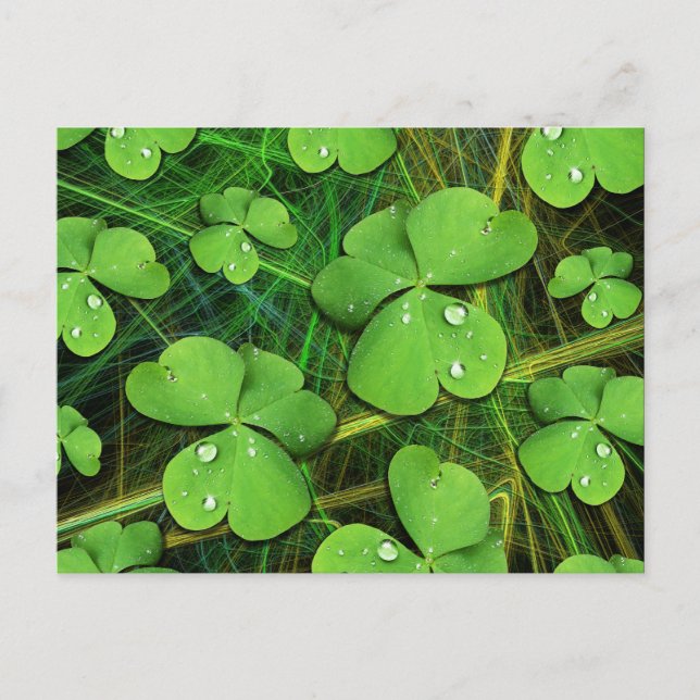 Green Shamrock St Patrick's Day Postcard (Front)