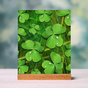 Green Shamrock St Patrick's iPhone 5 Case-Mate Acrylic Sign