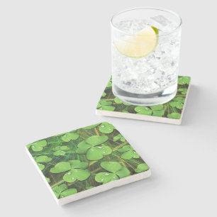 Green Shamrock St Patrick's iPhone 5 Case-Mate Stone Coaster