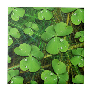 Green Shamrock St Patrick's iPhone 5 Case-Mate Tile