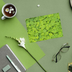 Green Shamrocks Floral St Patrick's Day Card