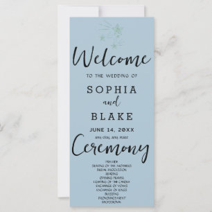 Green Shooting Stars Blue Grey Wedding Program