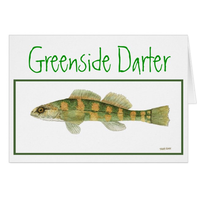 Green Sided Darter card (Front Horizontal)