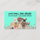 Green Small Dogs grooming boutique pet sitter