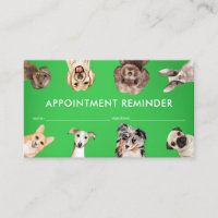 Green Small Size Dogs Pet Sitter Appointment