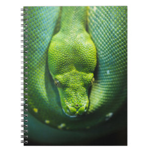 GREEN SNAKE NOTEBOOK