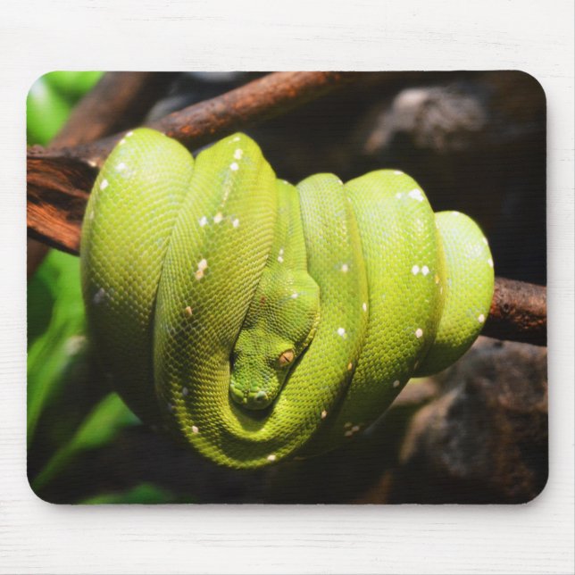 Green snake reptile mouse pad (Front)