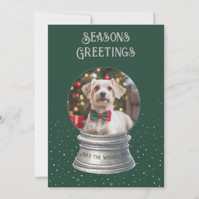Green Snow Globe Photo Flat Holiday Card (Front)