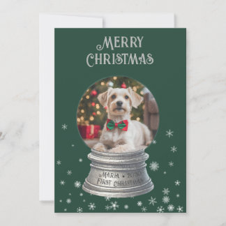 Green Snowglobe Snowflake Photo Flat Holiday Card