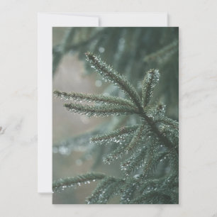 Green spruce tree close-up, Christmas aesthetic Holiday Card