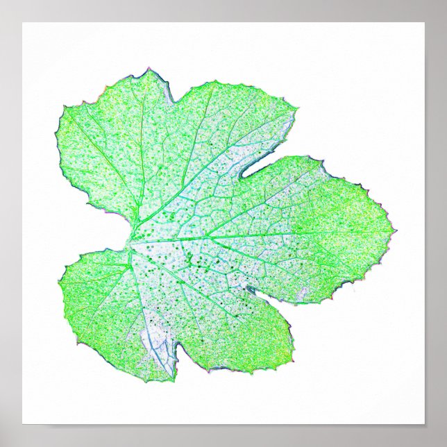 Green Squash Leaf Minimalism Square Wall Poster (Front)