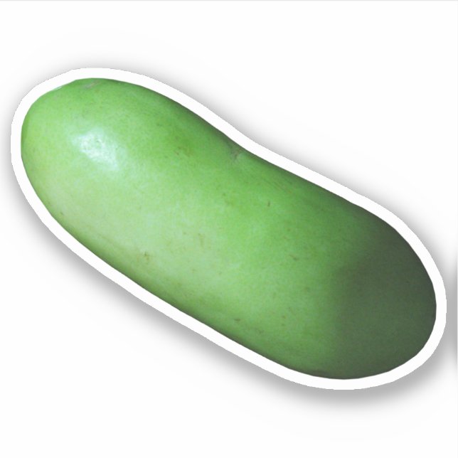 Green Squash (Winter Melon) (Front)