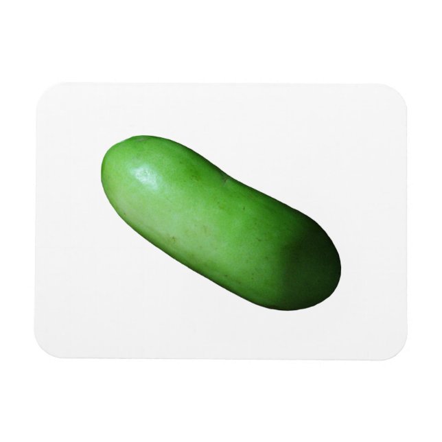 Green Squash (Winter Melon) Magnet (Horizontal)