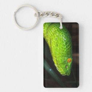 Green Stejneger's pit viper snake Key Ring