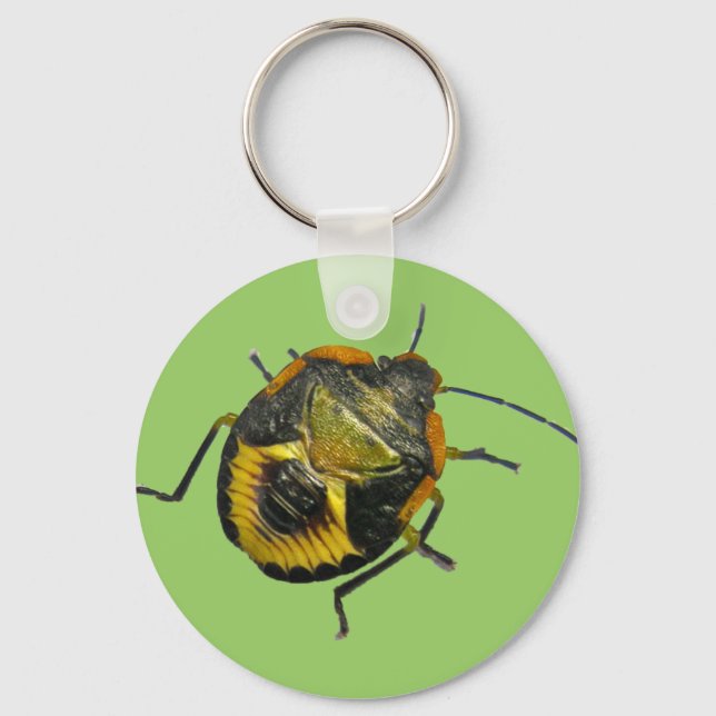 Green Stink Bug Nymph Coordinating Items Key Ring (Front)