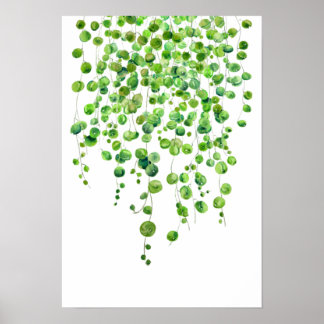 green string of pearl watercolor 2020 poster