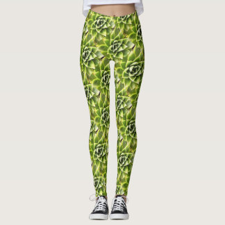 Green Succulent Close Up Cacti Art Leggings