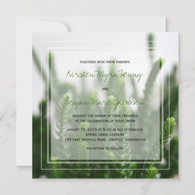 Green Succulent Grass Nature Photo Modern Wedding Invitation (Front)