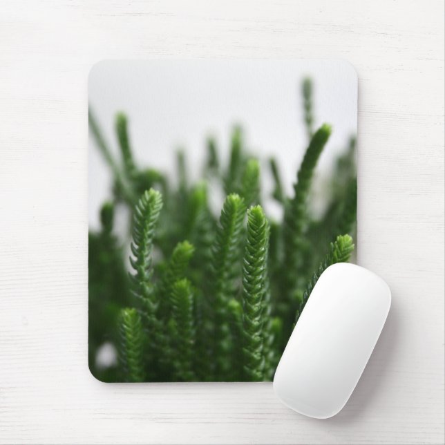Green Succulent Grass Plant Nature Photo Mousepad (With Mouse)