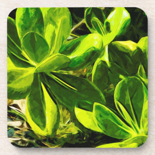 Green Succulent Ocean Beach Plant Abstract Coaster