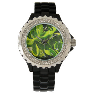 Green Succulent Ocean Beach Plant Abstract Watch