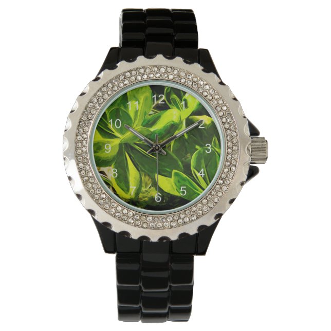 Green Succulent Ocean Beach Plant Abstract Watch (Front)