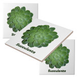 Green Succulent Photographic Natural Botanical Tile<br><div class="desc">Botanical tiles,  designed by Nature!,  with a closeup photographic green Echeveria succulent plant. Naturally beautiful tiles for use as a backslash,  accent tiles,  arts and crafts and houseplants or gardening. The text is customisable or may be deleted.

This image is original botanical photography by JLW_PHOTOGRAPHY.</div>