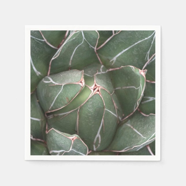 Green Succulent Plant Photo Cocktail Paper Napkins (Front)