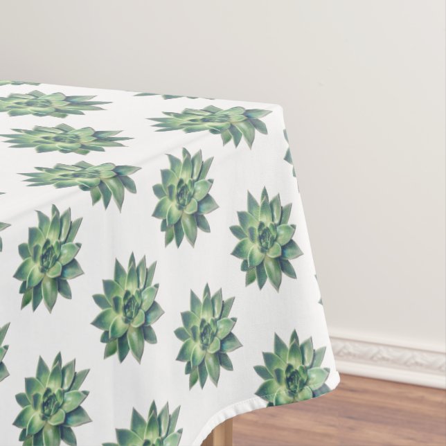 Green Succulent Plants on White Tablecloth (In Situ)