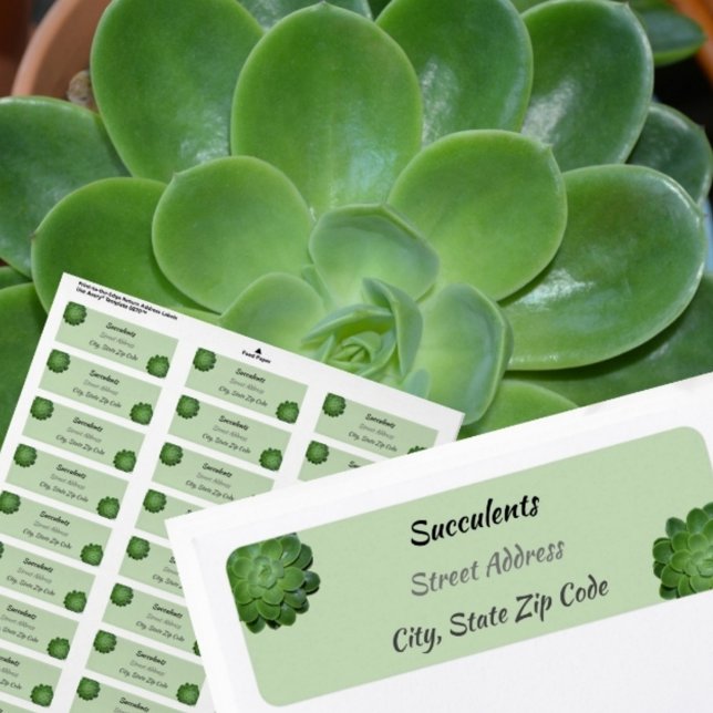 Green Succulents photographic Return Address (Creator Uploaded)