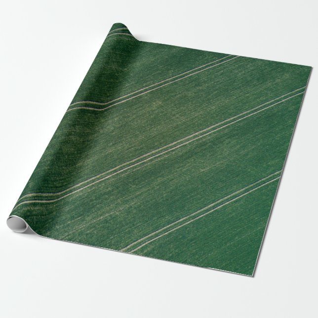 Green surface wrapping paper (Unrolled)