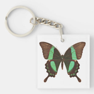 Green Swallowtail Butterfly Key Ring