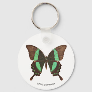 Green Swallowtail Butterfly Key Ring
