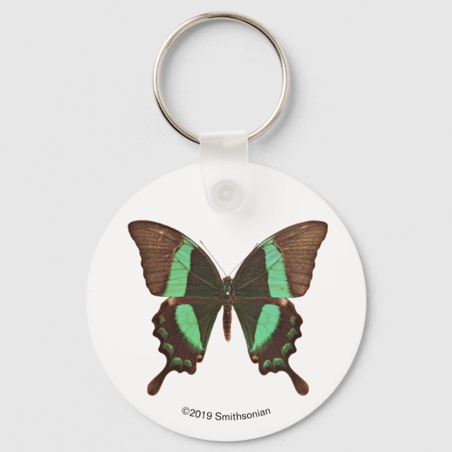 Green Swallowtail Butterfly Key Ring (Front)