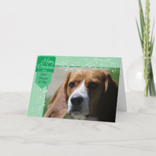 Green Tab and Flourishes Christmas Photo Holiday Card