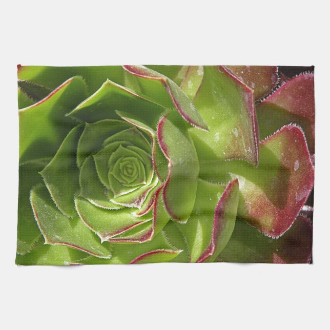 Green Tea Towel (Horizontal)