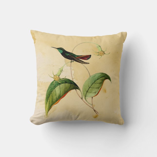 Green Throated Mango Hummingbird Watercolor Pillow (Front)