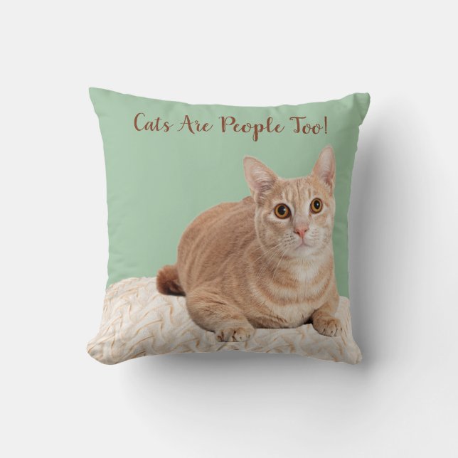Green Throw Pillow Orange Cat (Front)