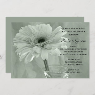 Green Tinted Daisy Post Wedding Brunch Invitation
