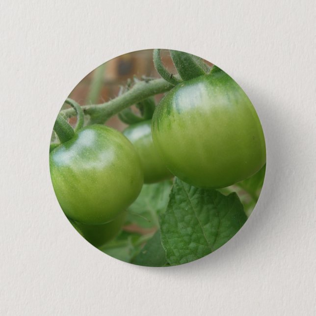 Green Tomatoes Button (Front)
