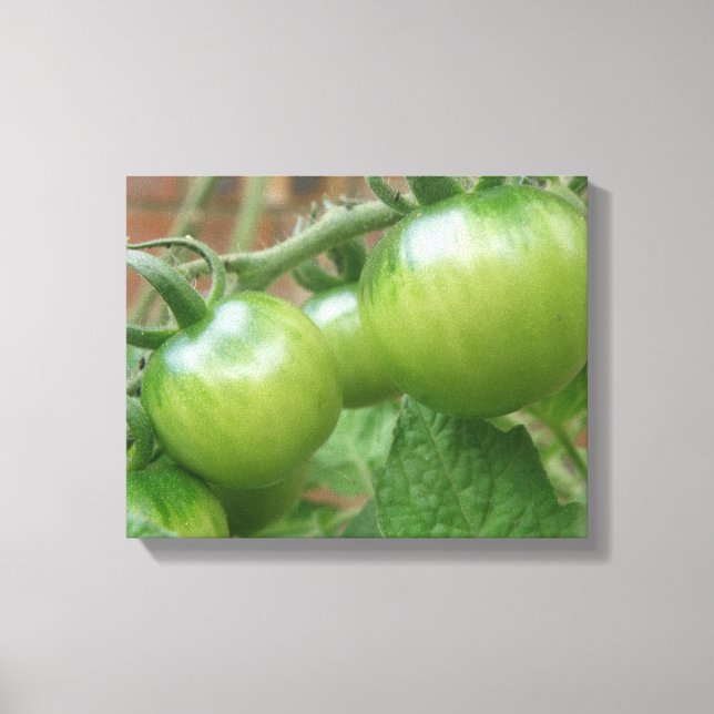 Green Tomatoes Canvas Print (Front)