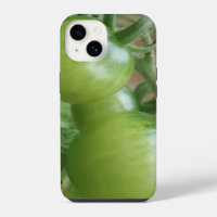 Green Tomatoes