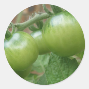 Green Tomatoes Stickers