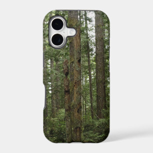 Green Totem Tree Forest Nature Scene