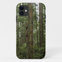 Green Totem Tree Forest Nature Scene